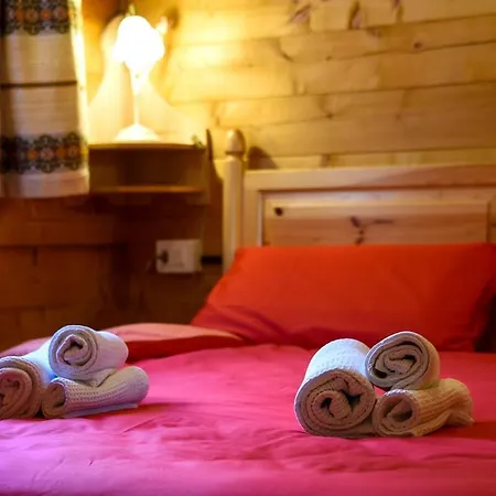 Fienile Rustico Tabia 公寓 阿莱盖